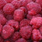 Himbeeren