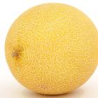 Honigmelone